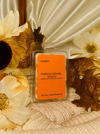 PUMPKIN CARAMEL CRUNCH WAX MELT